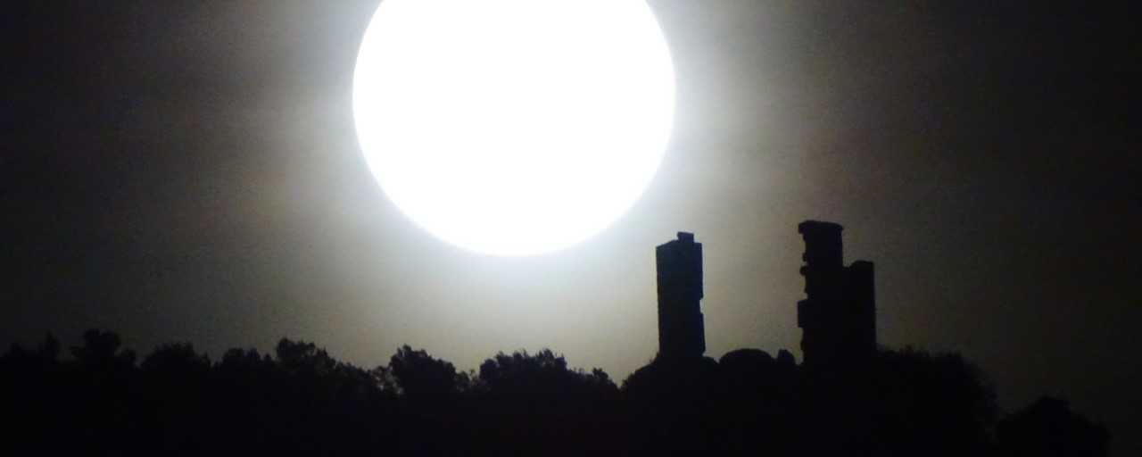 'Iluminación lunar', de María Toledano, mejor foto almonacileña del año  2020